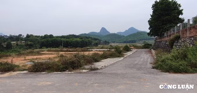 chu tich ubnd tinh thanh hoa yeu cau kiem tra viec chuyen doi dat o than toc tai nhu thanh hinh 1
