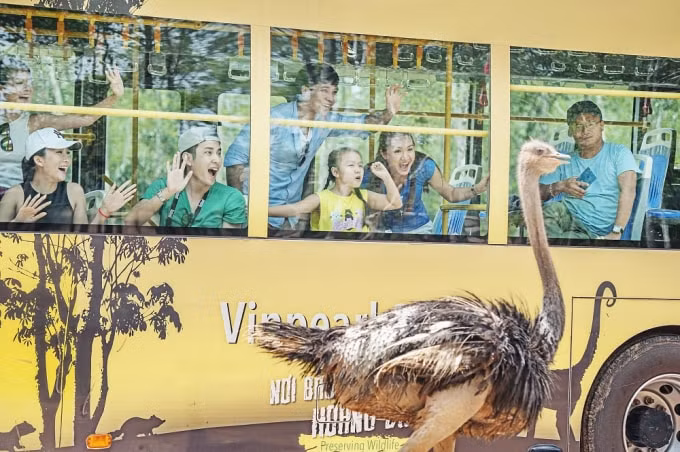 vinpearl lien tiep don khach quoc te ho chieu vaccine hinh 5