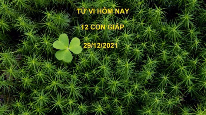 tu vi hom nay 29 12 2021 thu 4 ngay 26 11 am lich cua 12 con giap hinh 1