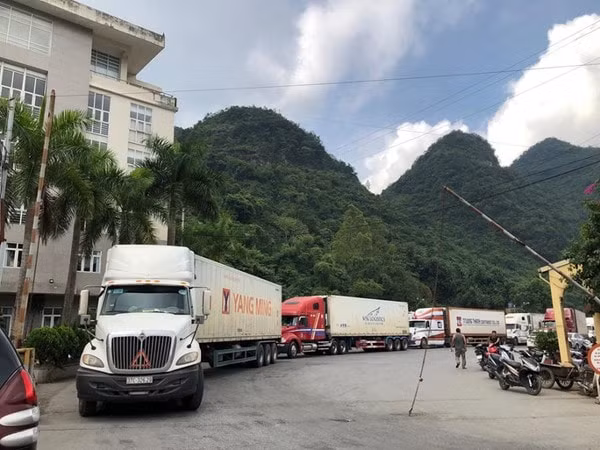 trung quoc tam dung nhap khau thanh long viet nam trong 4 tuan hinh 1
