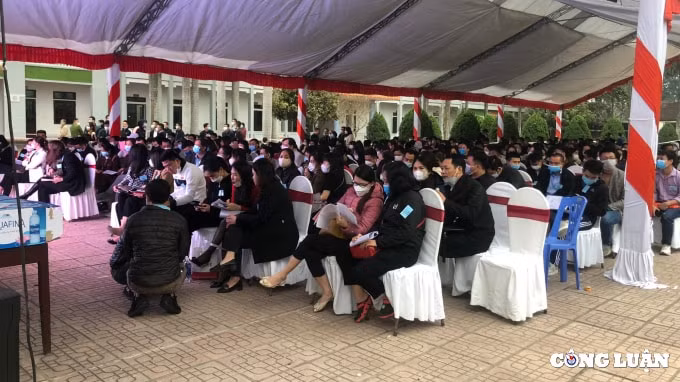 phu tho hon 500 khach hang tap trung tham gia dau gia dat trong mua dich hinh 1