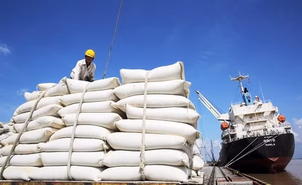 fta at chu bai cua xuat khau viet nam hinh 2