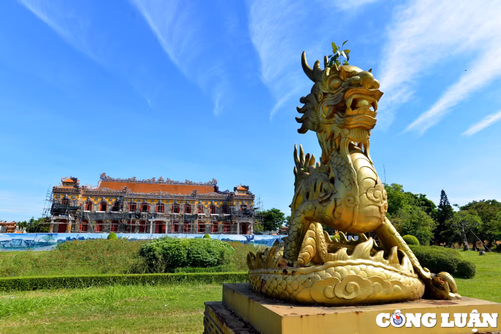 ghe hue tham xu so cua rong hinh 1