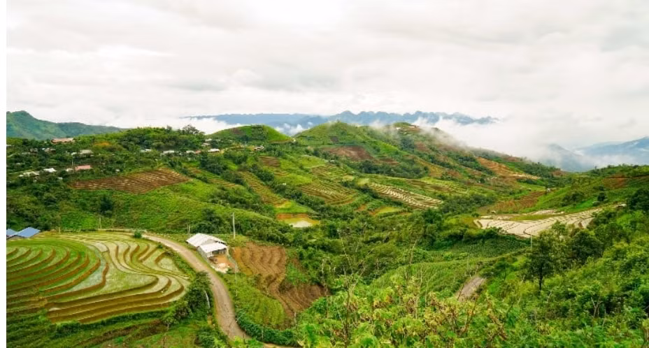 dat nuoc minh dau cung dep nhu tranh hinh 2