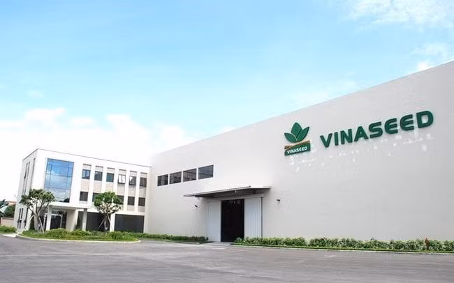 CTCP Tập đoàn Giống cây trồng Việt Nam (HOSE: NSC) vừa thông báo chốt quyền chi trả cổ tức đợt 2/2024 bằng tiền mặt, nâng tổng mức chi trả năm lên 40%. Ảnh: TL.