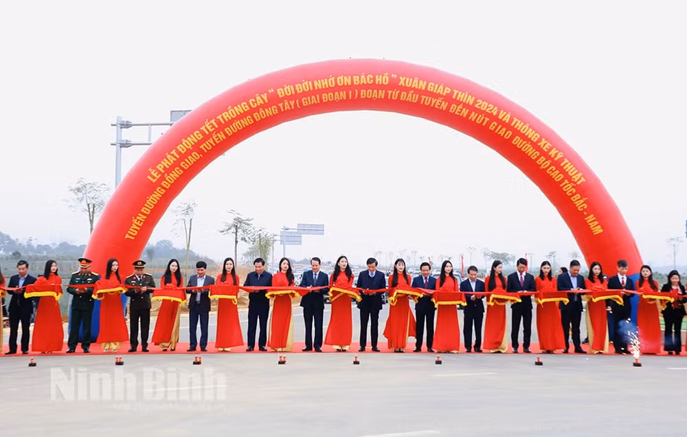 nam 2024 tinh ninh binh phan dau trong moi tren 12 trieu cay xanh va tren 350 ha rung hinh 3