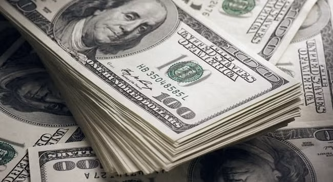 gia usd tu do tang dung dung dat 25100 dong usd hinh 1