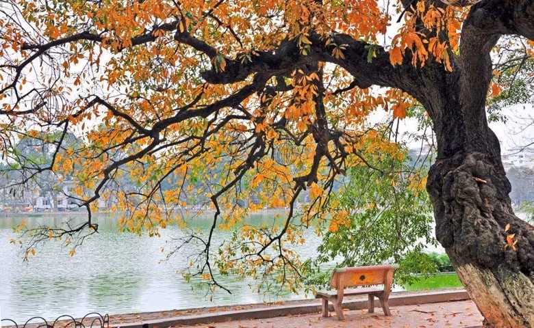 du bao thoi tiet 13 2 2024 ha noi dem va sang troi ret hinh 1