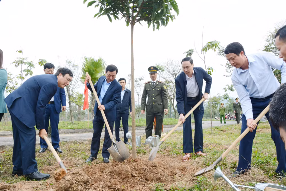 tinh phu tho se trong 825ha rung tap trung va 945 nghin cay phan tan trong nam 2024 hinh 3