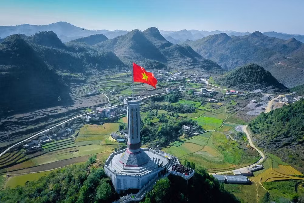 mot ban hoa ca vang vang dat nuoc hinh 8