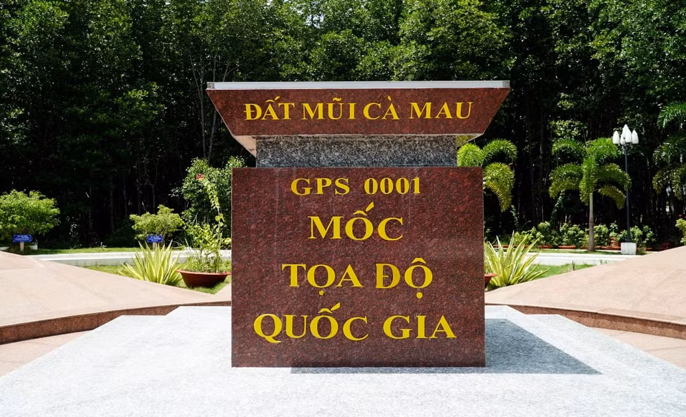 mot ban hoa ca vang vang dat nuoc hinh 9