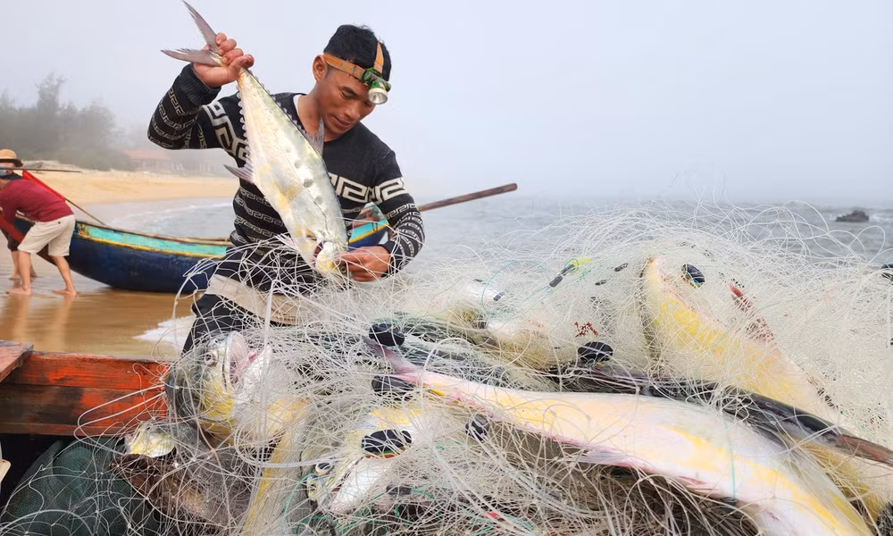 trung dam me ca be dau nam mot ngu dan quang binh bo tui hang chuc trieu dong hinh 1
