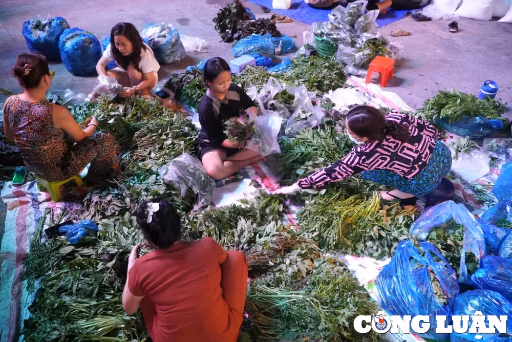 ca loc nuong ban ngay via than tai o tp hcm hinh 6