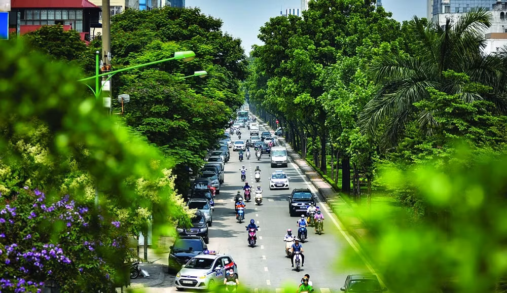 chuyen doi xanh khong chi la lua chon ma la yeu cau bat buoc hinh 2