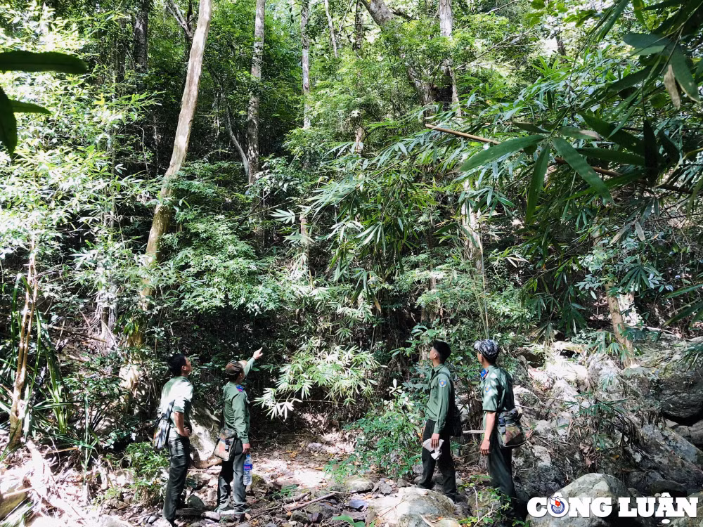 tet cua nhung nguoi linh gac rung o gia lai hinh 8