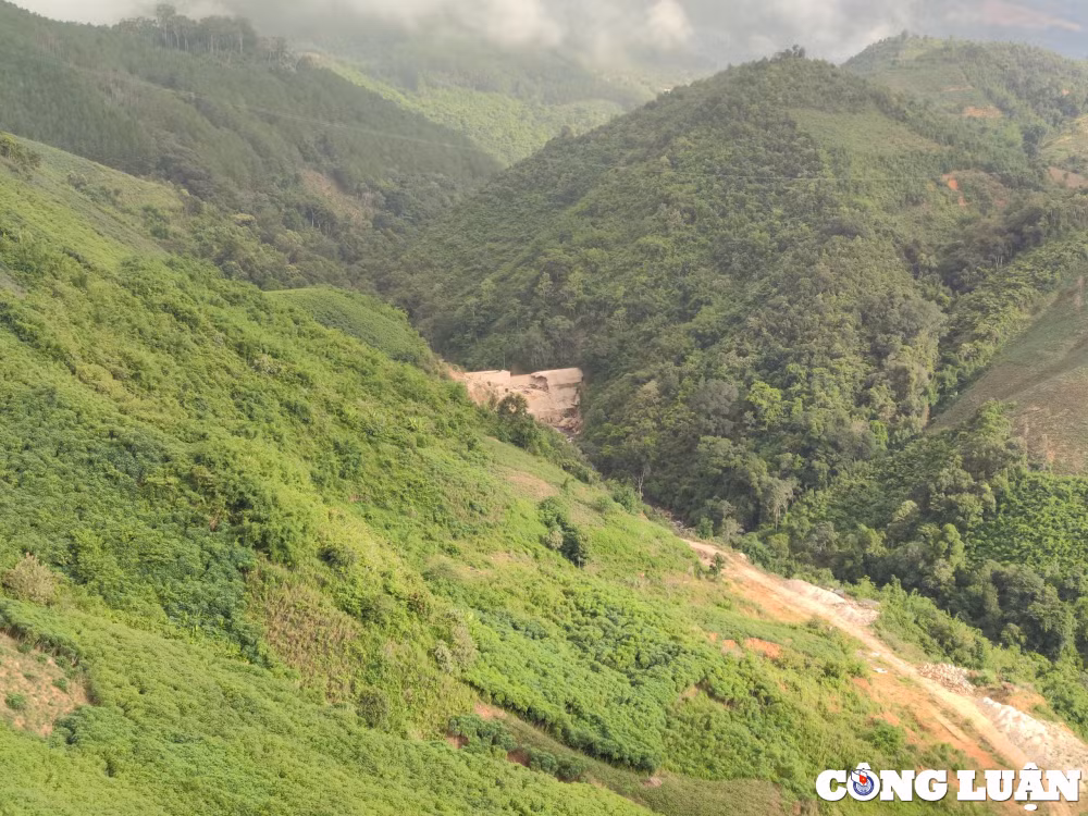 kon tum nguoi dan vung kho khan don tet am no nho trong duoc lieu hinh 1