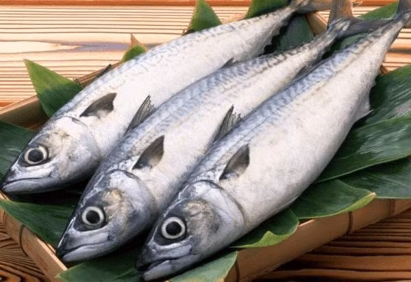 10 loai thuc pham giau omega 3 hinh 1