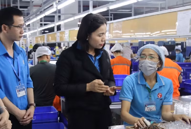thai binh tao viec lam cho 15400 lao dong trong 5 thang dau nam 2024 hinh 1