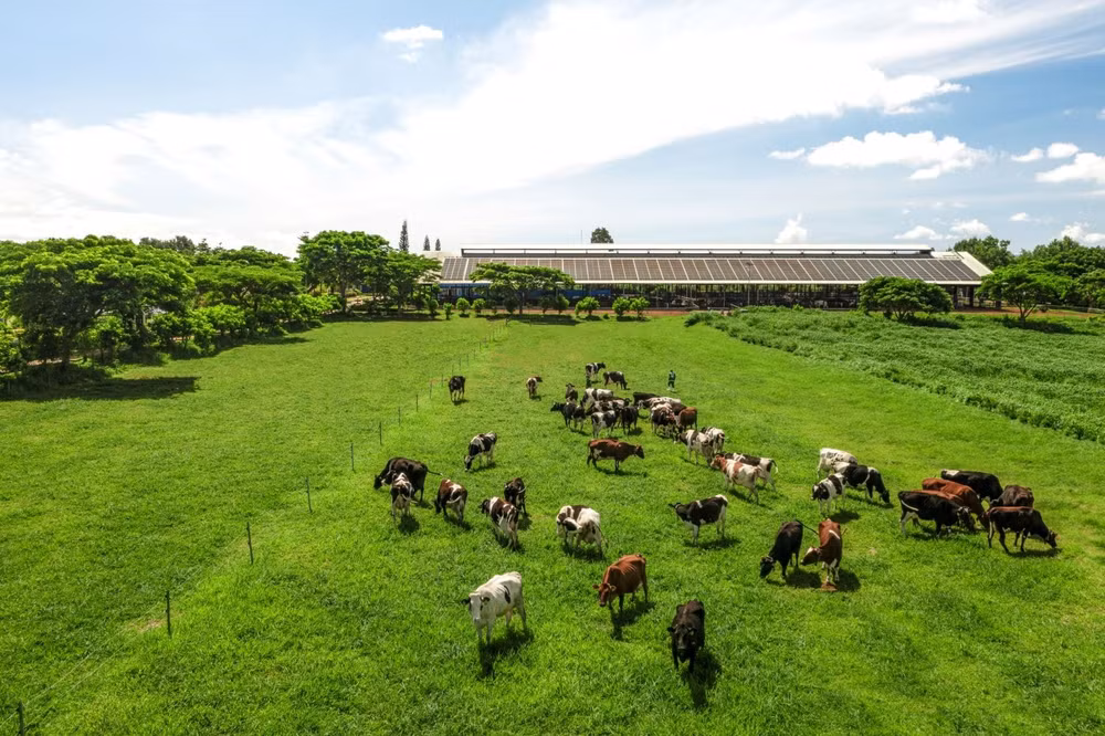 he sinh thai net zero vuot ra ngoai nhung trang trai xanh cua vinamilk hinh 6