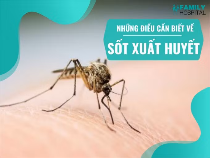 ca nuoc co 50473 truong hop mac sot xuat huyet dich dang gia tang hinh 1