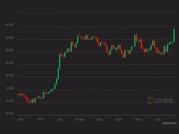 gia bitcoin hom nay 1 10 hoi phuc tren 42000 usd hinh 1