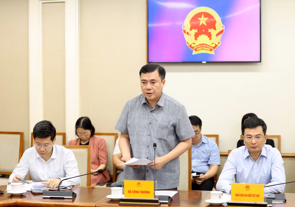 Phó Thủ tướng Nguyễn Văn Thắng: Không lợi dụng biến động chi phí để tăng giá bất hợp lý- Ảnh 5.