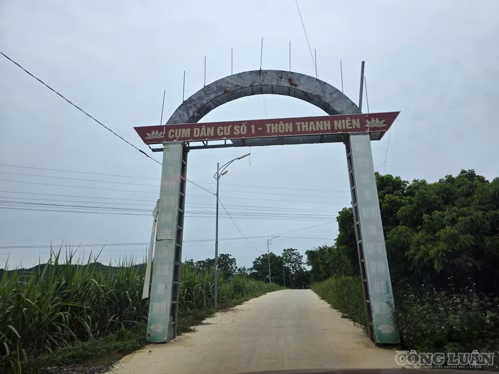 clo_br_1000033578.jpg