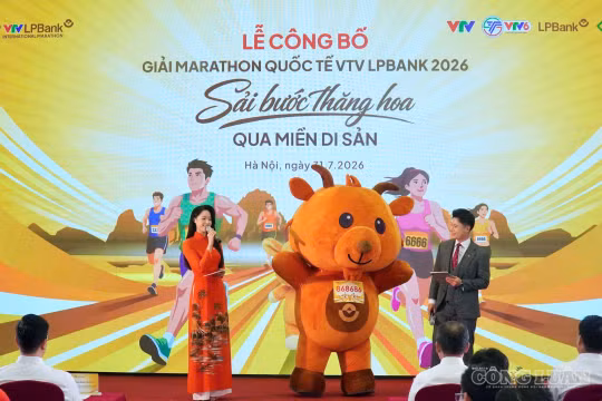 Ninh Bình đăng cai Giải Marathon Quốc tế VTV LPBank 2026