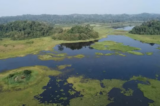 “Vietnam Wild Live” trở lại với hành trình khám phá thiên nhiên