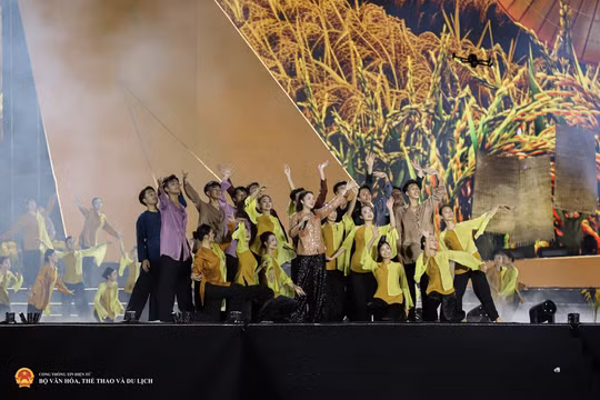 Tổ chức các chương trình nghệ thuật thiết thực, chất lượng hưởng ứng Ngày Văn hóa Việt Nam 