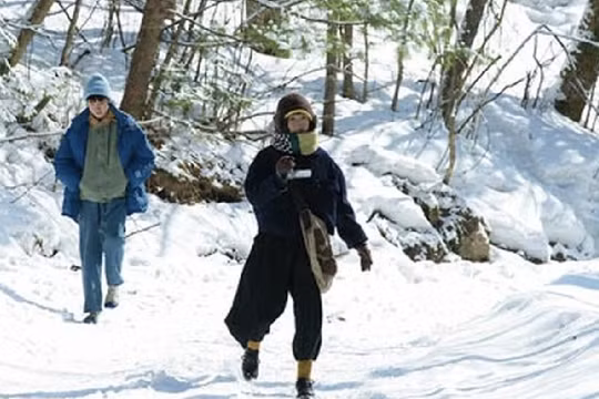 Liên hoan phim quốc tế Thượng Hải 2026 lập kỷ lục với 4.100 tác phẩm tham dự