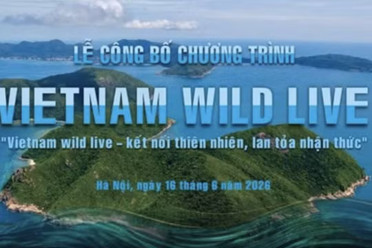 VTV lần đầu thực hiện truyền hình trực tiếp về thiên nhiên hoang dã
