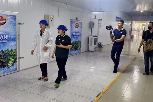 50 năm Thành phố mang tên Bác qua góc nhìn điện ảnh