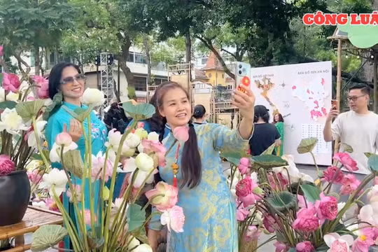 Lễ hội Sen Hà Nội 2026 thu hút gần 300.000 lượt khách tham quan