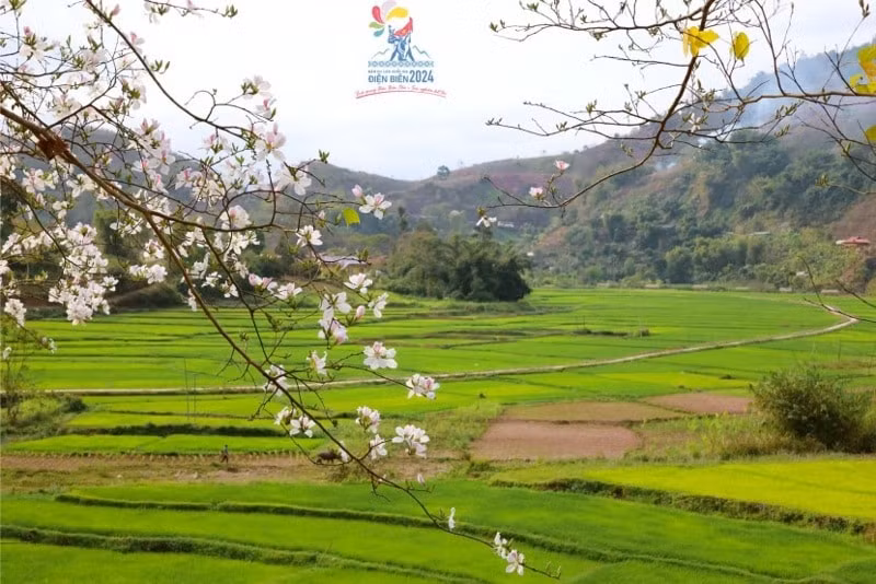 dien bien dieu chinh thoi gian to chuc cuoc thi anh lung linh mien hoa ban hinh 1