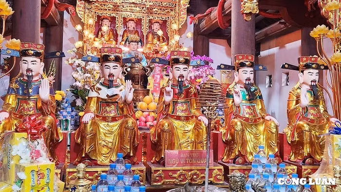 den thung la linh thieng tho quoc mau noi nui rung hinh 4