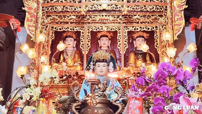 den thung la linh thieng tho quoc mau noi nui rung hinh 5