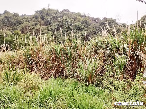 ghe tham dong hoa lu can cu khoi nghiep cua nguoi anh hung dinh bo linh hinh 3