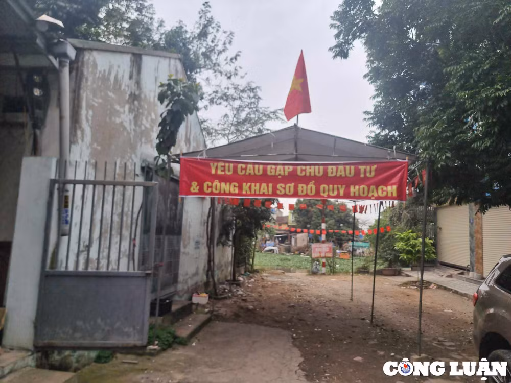 du an dau tu xay dung cau vuot song bac hung hai hai duong can xem xet thau dao nguyen vong cua nhan dan hinh 1