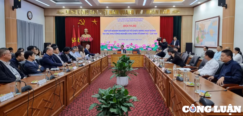 hai phong vai tro quan trong cua to chuc dang trong doanh nghiep o cac khu cong nghiep khu kinh te dinh vu cat hai hinh 1