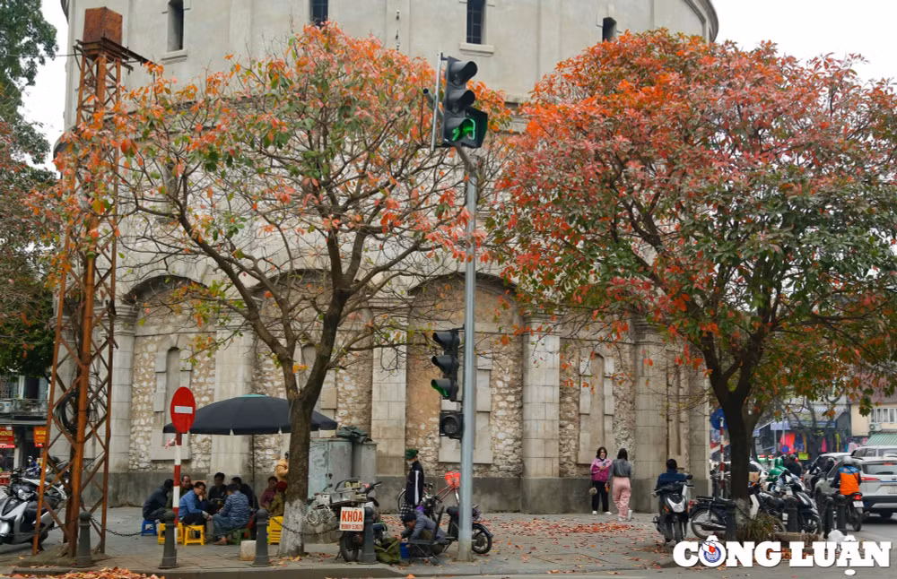 thu do ha noi dep ngo ngang trong mua la rung hinh 4