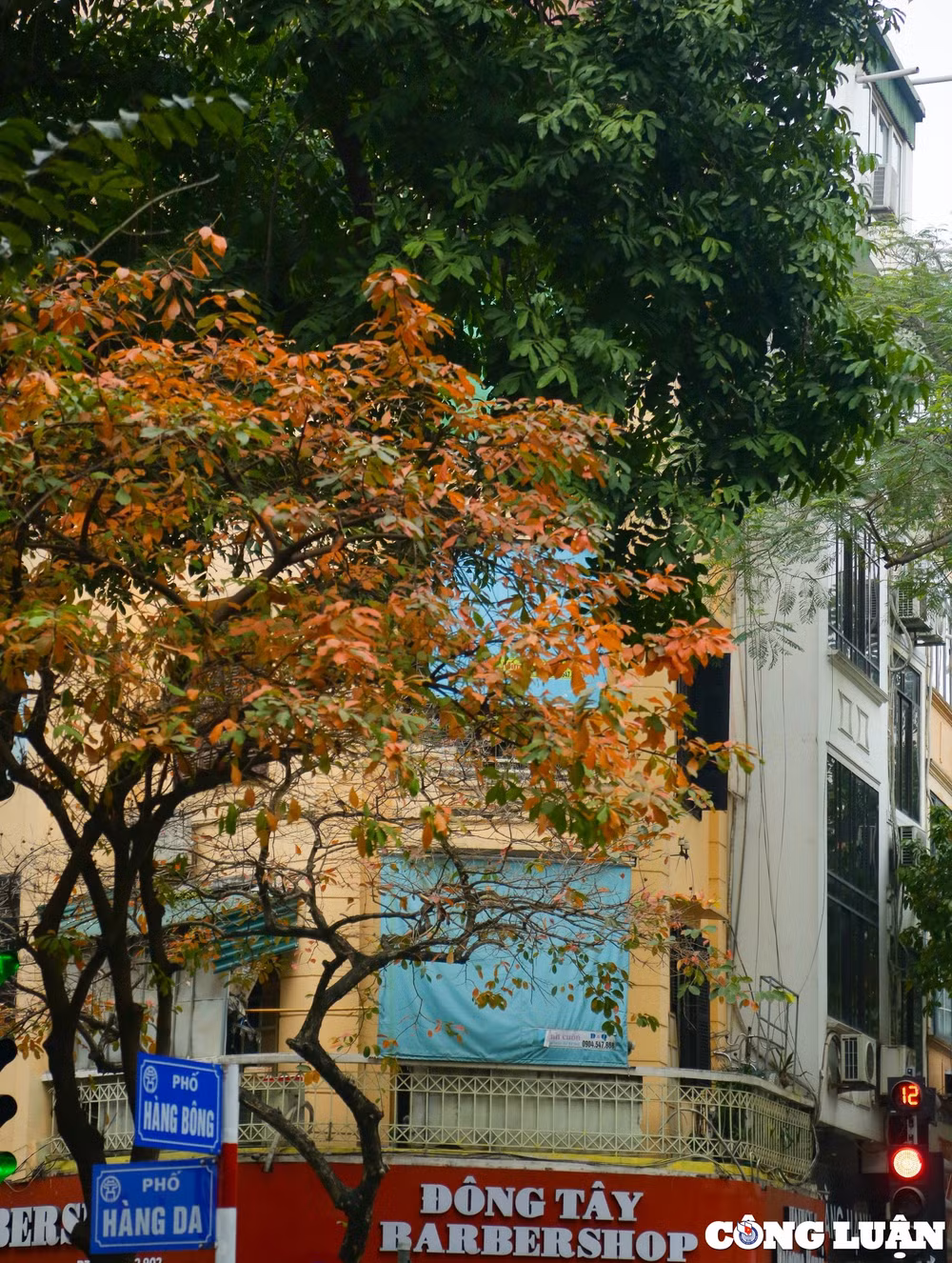 thu do ha noi dep ngo ngang trong mua la rung hinh 3