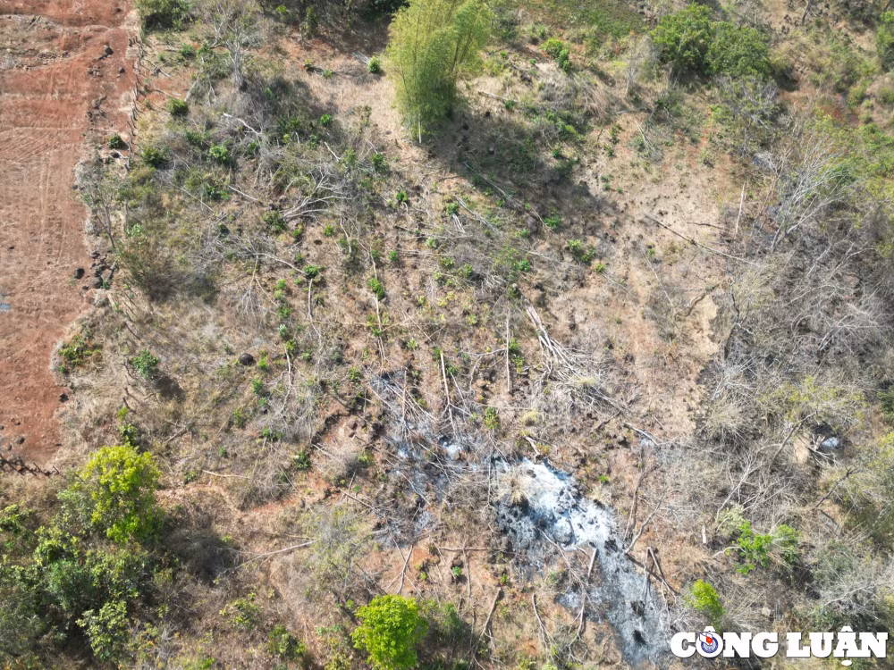 gia lai tung vat rung tu nhien tiep tuc bi pha trang o mang yang hinh 10