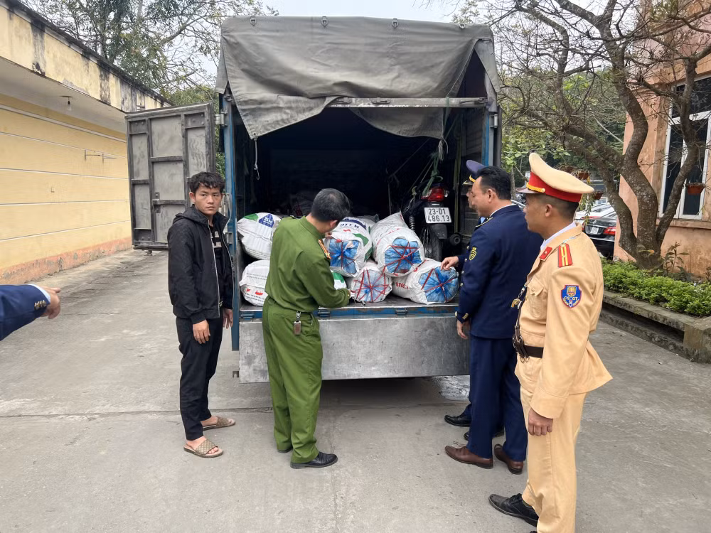 tuyen quang phat hien 14 tan mo lon khong ro nguon goc dang tren duong van chuyen hinh 2