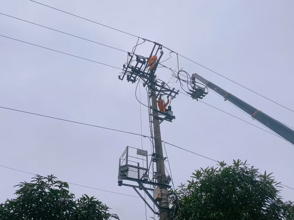 cong ty dien luc ha tinh dong bo cac giai phap nang cao chat luong dien nang trong mua nang nong 2024 hinh 3