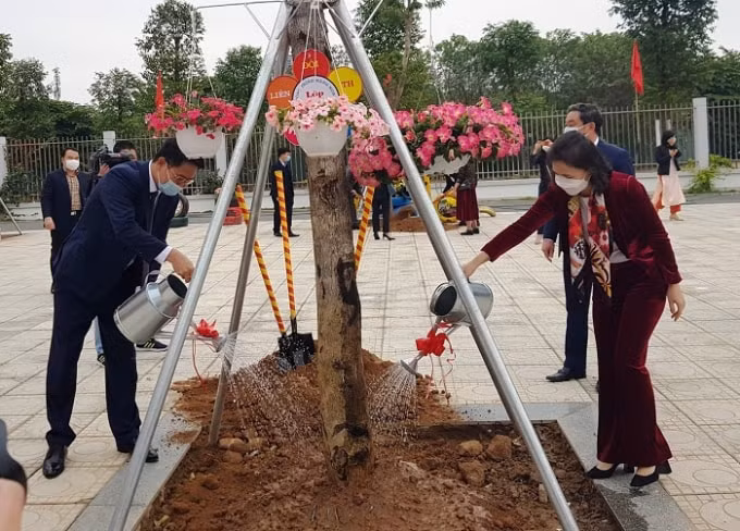 Bí thư Quận ủy Nguyễn Thanh Xuân và Chủ tịch UBND quận Cấn Thị Việt Hà trồng cây trong khuôn viên trường học