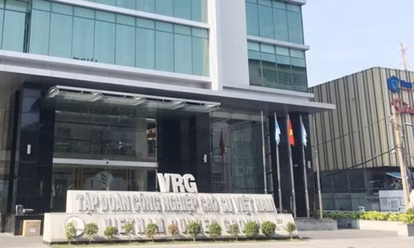 Tập đoàn Công nghiệp Cao su Việt Nam có 759 cơ sở nhà, đất nhưng mới sắp xếp, xử lý được 43 cơ sở