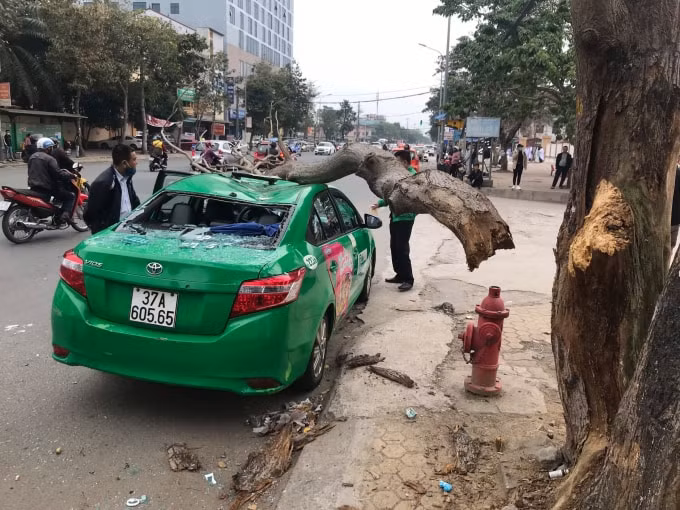 Sau vụ việc, nam tài xế đã gọi điện báo công ty đồng thời báo công ty bảo hiểm để có hướng xử lý hậu quả vụ tai nạn hy hữu này.
