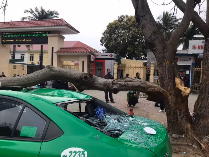 Tại hiện trường, cành cây ngô đồng lớn đè dọc chéo theo thân chiếc xe taxi. Phía trên nóc xe bị bẹp dúm. Kính sau xe bị vỡ vụn hoàn toàn, kính chắn gió trước xe cũng bị rạn nứt. Phần ngọn cành cây dài đổ cả ra đường nhưng may mắn không rơi trúng vào phương tiện nào khác.