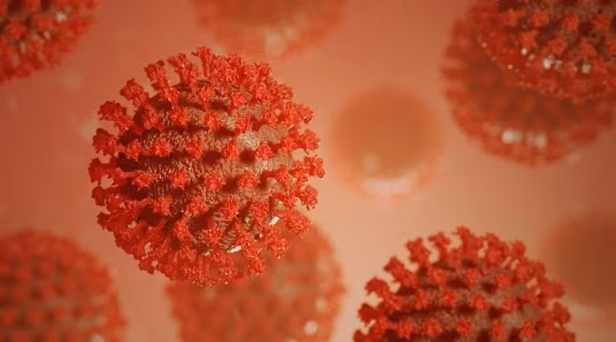 Biến đổi khí hậu có thể thúc đẩy sự xuất hiện của virus Corona. Ảnh: eurasiareview